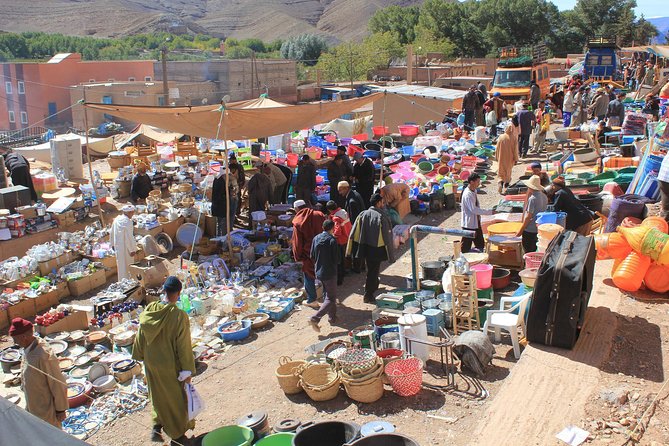Ourika Marrakesh Day Trip