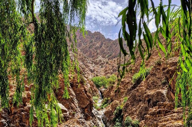 Ourika Valley and Atlas Mountains Day Trip From Marrakech