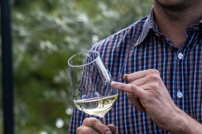 Panoramic Wine Tasting in Oltrepò Pavese - Panoramic Views and Tasteful Experiences