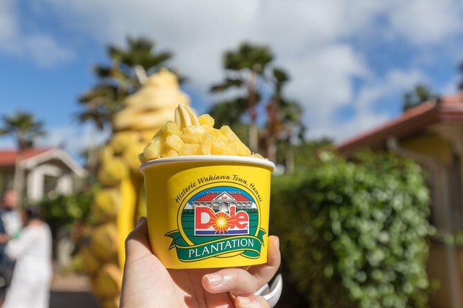 Pearl Harbor, Dole Plantation, and Polynesian Center From Kona