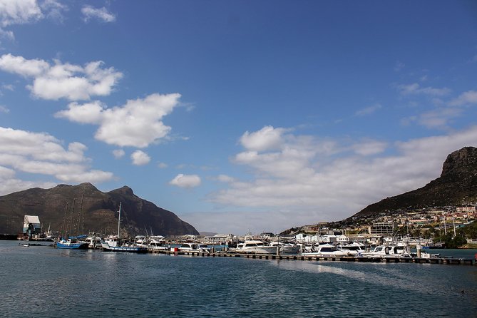 Peninsula Tour Cape Town