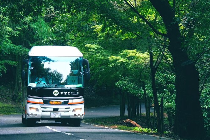 Perfect Nara Park Half-Day Bus Tour With English Speaking Guide