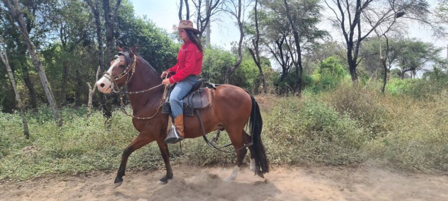 Peru, Chiclayo: 1 Day Horseback Riding and Ancient Pyramids