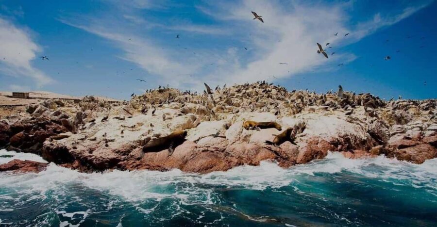 Peru: Ica, Cusco, Machu Picchu, Humantay Lake - 6 Days - Destination Overview