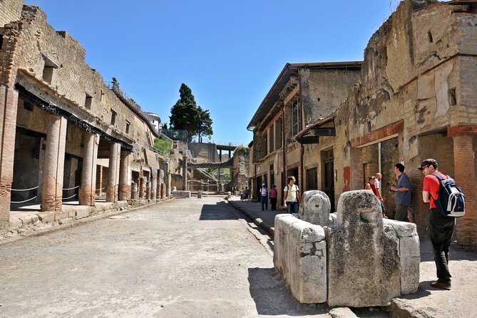 Pompeii and Herculaneum Skip the Line – From Amalfi and Positano
