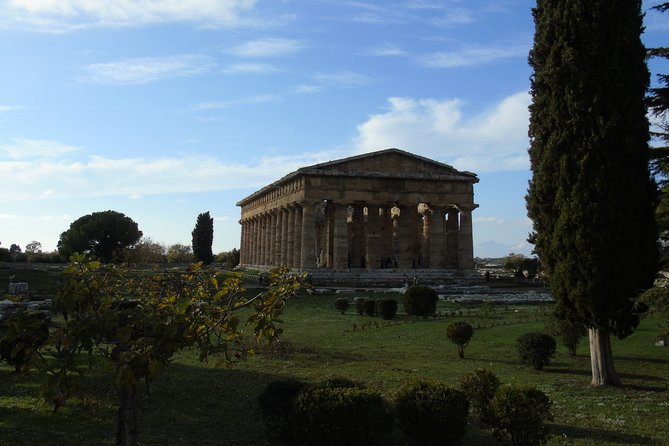 Pompeii and Paestum Shore Excursion From Naples Cruise Port - Tour Overview and Highlights