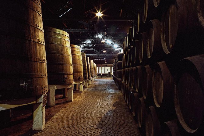 Porto Private Tour From Lisbon With Wine Tasting