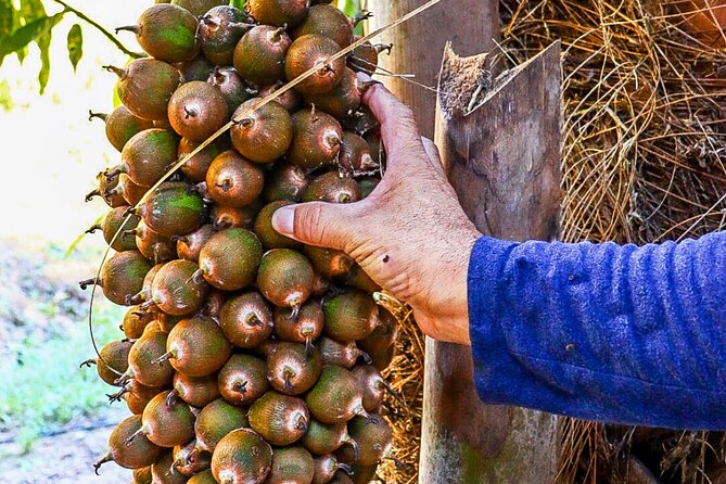 Private 4 Hour Hiking Adventure + Breakfast in Nogalito Ecopark