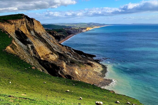 Private 4×4 Safari – Lulworth, New Forest & Corfe – Southampton