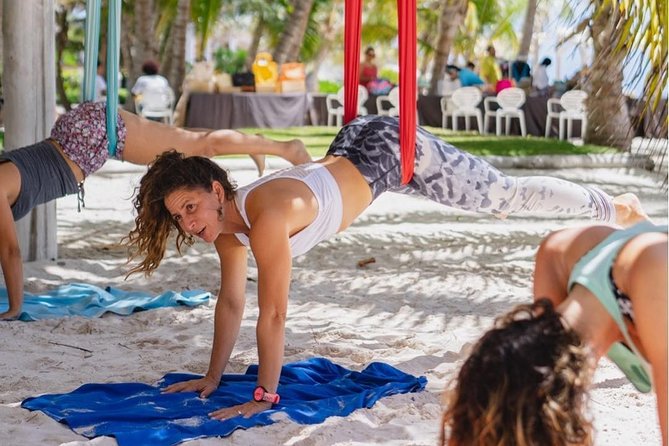 Private Aerial Yoga or Aerial Pilate Class - Class Overview