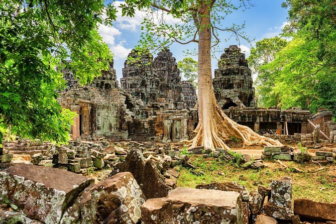 Private Angkor Temple Tour Review