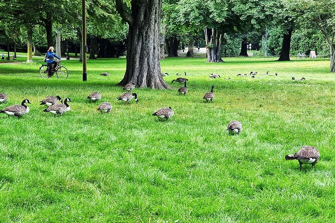 Private Audio Book City Rally in the Volksgarten in Cologne - What To Expect