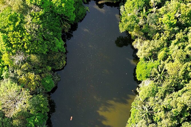 Private Bird Watching Experience in Los Chocuacos