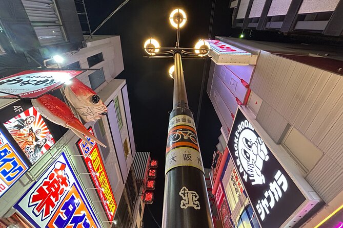 Private Car Tour From Kyoto to Osaka by Japanese Guide