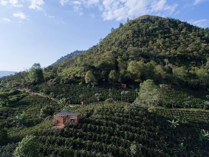 Private Coffee Plantation Tour With Tasting and Lunch