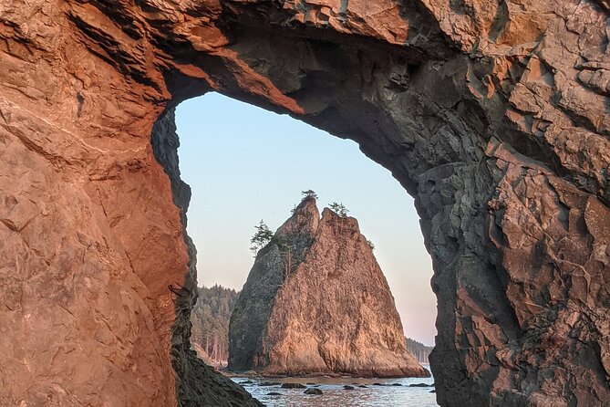 Private Day Hike- Rialto Beach Tide Pooling