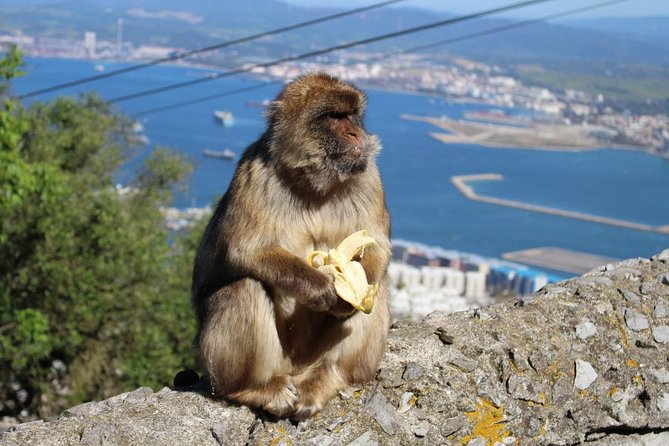 Private Day to Gibraltar From Marbella or Marbella