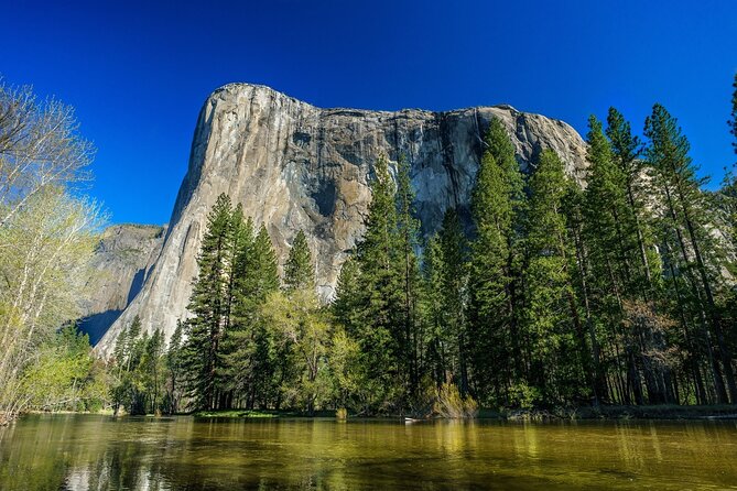 Private Day Tour From San Jose in Yosemite Natural Park