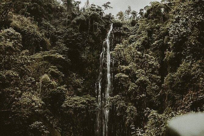 Private Full-Day Materuni Waterfalls and Kikuletwa Hotspring