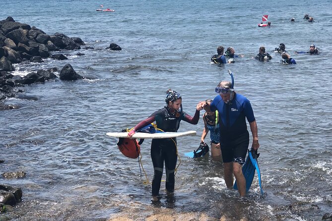 Private Group Snorkel Adventure on Tropical Reef With Sea Turtles
