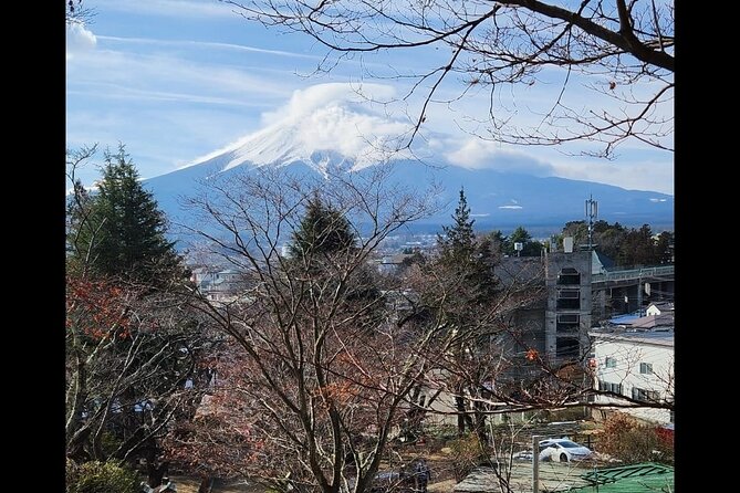 Private Hakone Mt Fuji Tour With English Speaking Driver