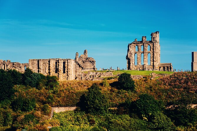 Private Half-Day Coastal Tour From Newcastle to Vera’S World