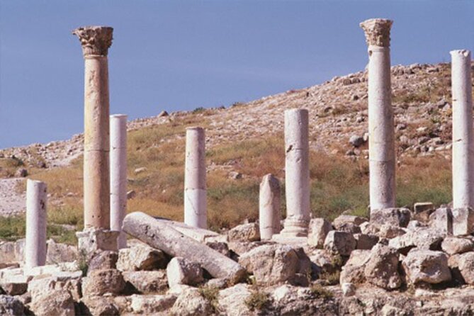Private Half-Day Pella Tour From Amman - Inclusions and Amenities