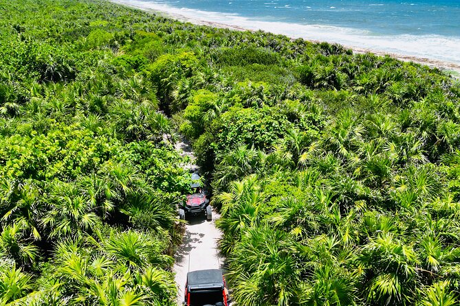 Private Jeep & Polaris RZR: San Gervasio Mayan Ruins & Snorkeling - Explore Cozumels Mayan Ruins