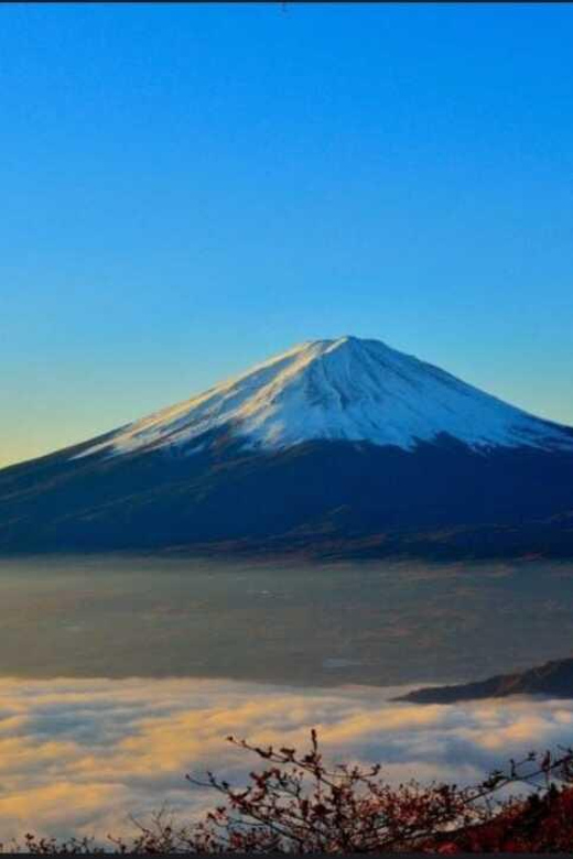 Private Mt. Fuji and Hakone Day Trip With Guide