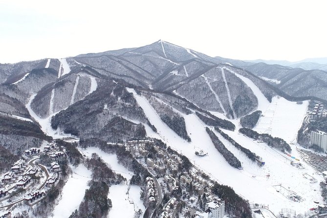 Private Ski Tour Review: Pyeongchang Olympic Resort