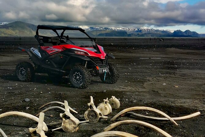 Private South Coast and Black Beach Buggy Tour - Tour Overview