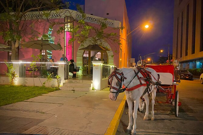 Private Tour Guide in Merida, 100% Customisable - Best Rated - Customization Options Available