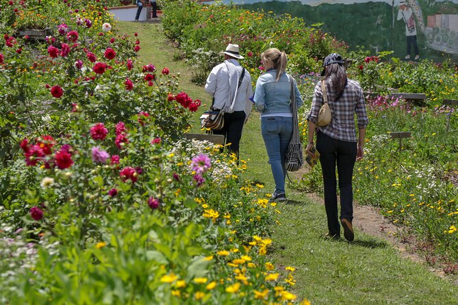 Private Tour: Medellins Flower Culture & the Silletero Tradition of Santa Elena
