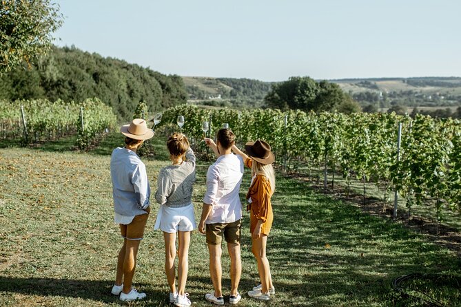 Private Tour of San Sebastian and Getaria With Txakoli Tasting