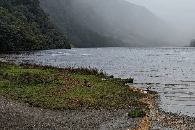 Private Tour of Wicklow, Glendalough & Powerscourt Gardens