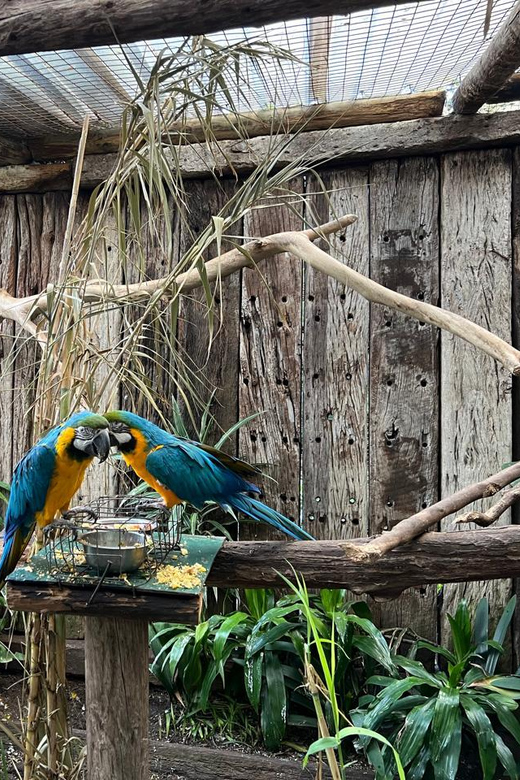 Private Tour of World of Birds, Kirstenbosch, and Constantia