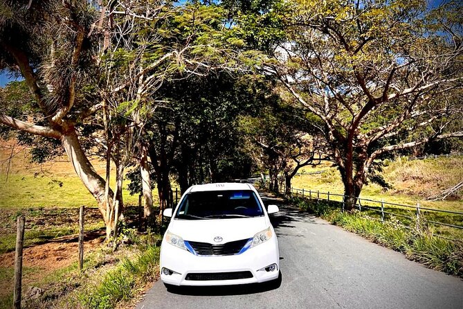 Private Transfer Fajardo or Ceiba to San Juan Airport - Service Overview