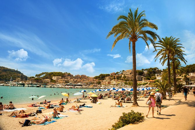 Private Transfer From Mallorca Airport (Pmi) to Pollensa - Pricing and Inclusions