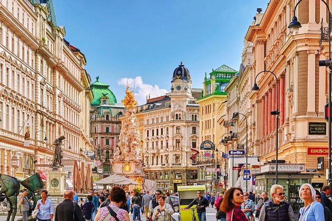 Private Transfer From Munich to Vienna With 2-Hour Sightseeing Stop in Hallstatt - Amenities and Accessibility of Transport
