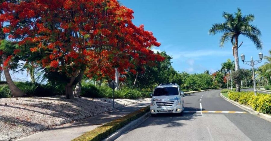 Private Transfer From Punta Cana Airport to Dreams Onyx