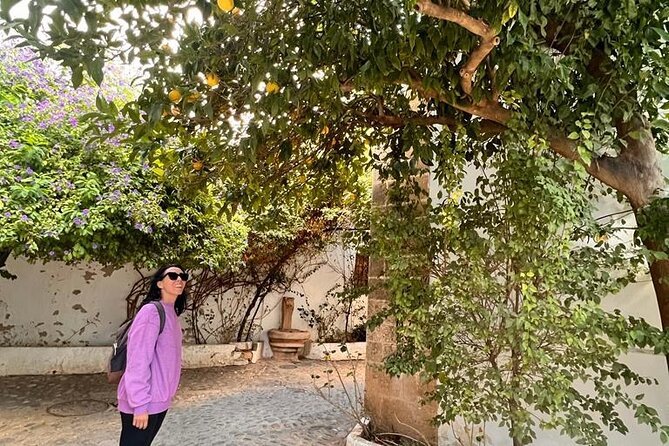Private Transfer From Sevilla to Granada Stopping in Ronda