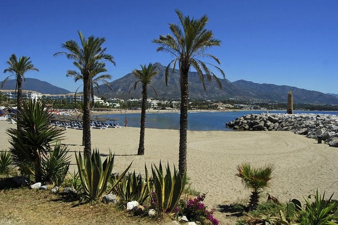 Private Transfer From Torremolinos to Malaga (Agp) Airport - Included in the Transfer
