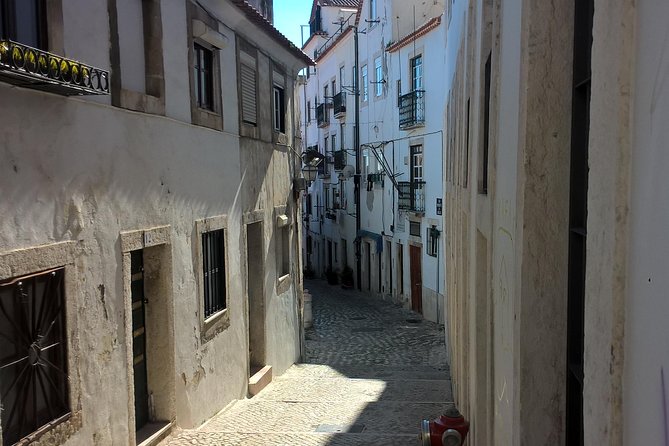 Private Transfer: Lisbon Airport to or From Lisbon Center - Vehicle and Amenities