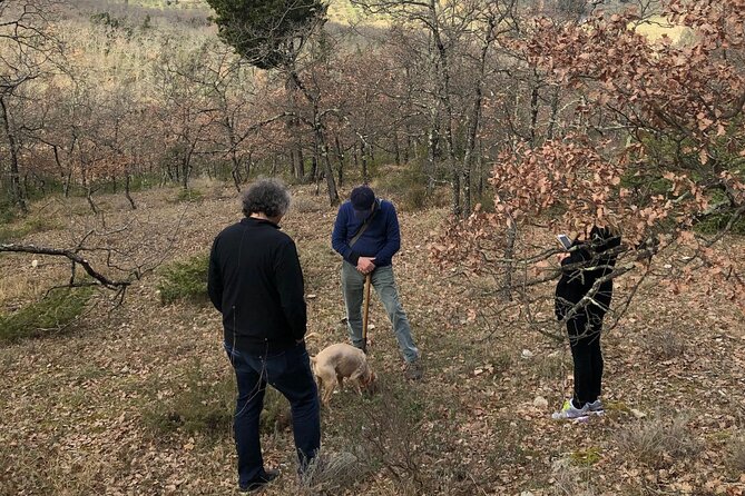 Private Truffle Hunt in Tuscany