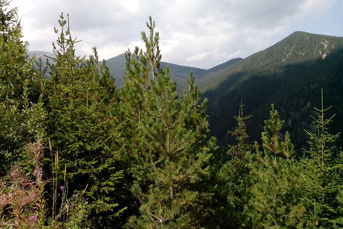 Private Vitosha Mountains Hiking With Black Peak & Dragalevtsi Monastery - Tour Overview