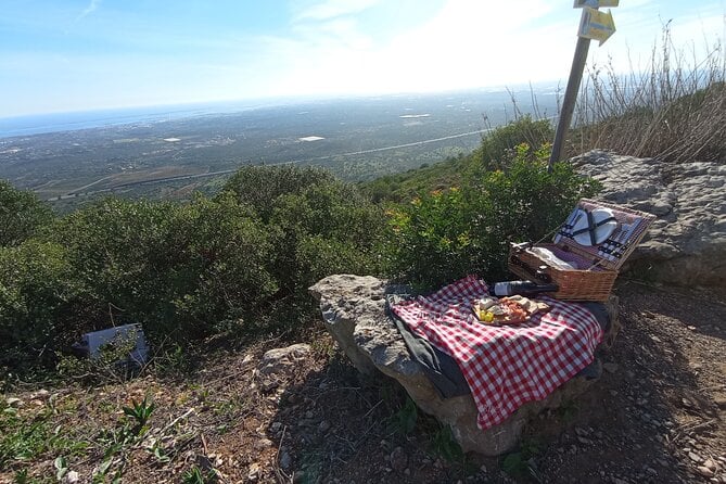 Private Walking Tour and Guided Picnics With Local Food and Wine