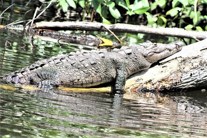 Private YS Falls and Black River Safari From Runaway Bay
