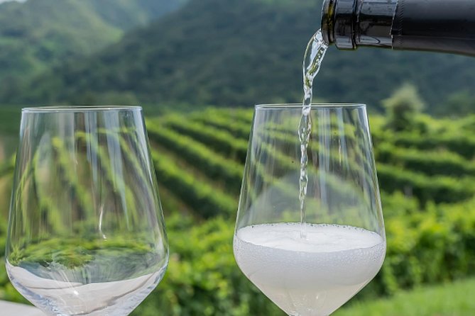 Prosecco’S Roots & the Karst Region From Trieste