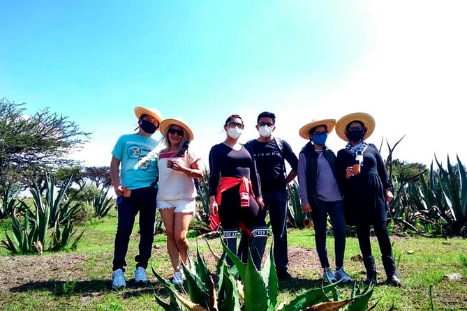 Pulque Tour in Tepotzotlán, Magical Town