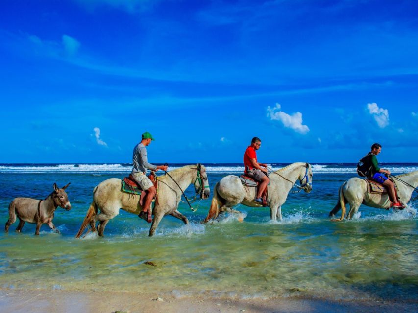 Punta Cana: 1 Hour of Horseback Riding With Hotel Pickup - Unforgettable Horseback Riding Adventure